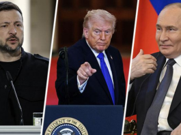 Trump dice que Putin y Zelenski quieren "resolver" la guerra