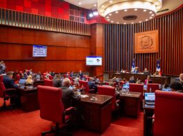 Senado aprueba en primera lectura reformas a Ley Orgánica de la Policía Nacional