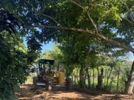 Agricultura interviene más de 300 kilómetros de caminos rurales para fortalecer la producción agropecuaria