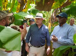 Agricultura inicia protocolo para la reapertura de PRODEVAJ y adopta primeras medidas para reactivar el desarrollo agrícola del Valle de Juancho
