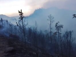 Incendio se reactivó en Valle Nuevo, personal vuelve a controlarlo