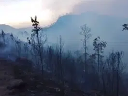 Incendio se reactivó en Valle Nuevo, personal vuelve a controlarlo