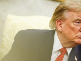 Trump anuncia aranceles del 50 % a autos y acero canadienses