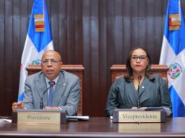 La Cámara de Diputados completó este miércoles la conformación de una Comisión bicameral que tendrá a su cargo el estudio del proyecto de ley orgánica de la Policía Nacional.