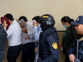 Caso Senasa 2.0: Dictan 18 meses de prisión preventiva a ocho implicados
