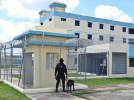 ¡Trabajo seguro! Convocan a 1,000 aspirantes a Agentes Penitenciarios con prioridad en Guerra, San Juan, Higüey y Barahona