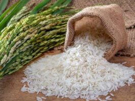 La derogación de aranceles al arroz estadounidense reabre el debate agrícola en República Dominicana La derogación de aranceles al arroz estadounidense reabre el debate agrícola en República Dominicana