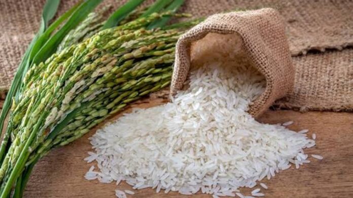 La derogación de aranceles al arroz estadounidense reabre el debate agrícola en República Dominicana