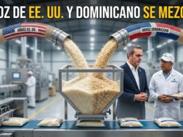 Abinader El arroz de EE. UU. necesita mezclarse con el dominicano para poder comercializarse en el pais