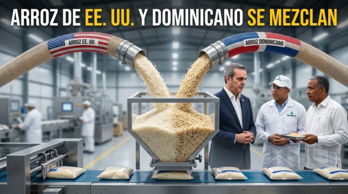 Abinader El arroz de EE. UU. necesita mezclarse con el dominicano para poder comercializarse en el pais