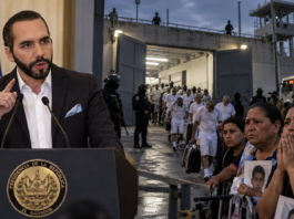 Bukele liberará presos: defensores advierten trampa para inocentes