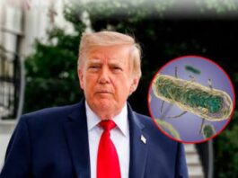 Trump no cree que el aparente brote de peste en Rusia esté vinculado a un arma biológica