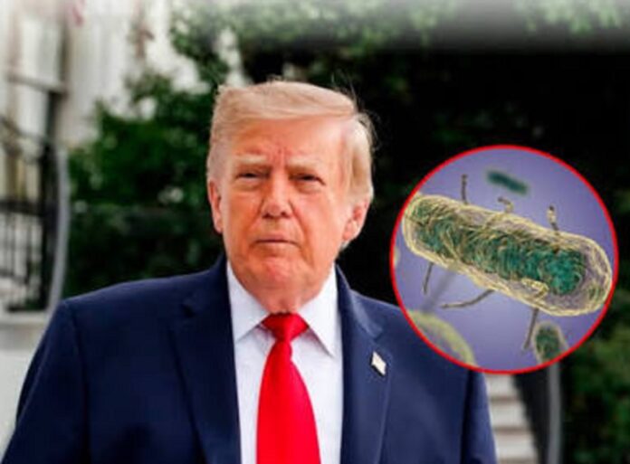 Trump no cree que el aparente brote de peste en Rusia esté vinculado a un arma biológica