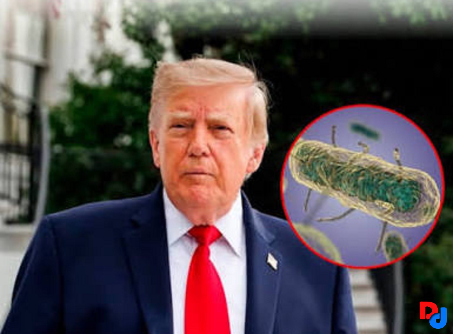 Trump no cree que el aparente brote de peste en Rusia esté vinculado a un arma biológica Trump no cree que el aparente brote de peste en Rusia esté vinculado a un arma biológica
