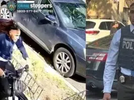 ¡Capturados en un sótano! Arrestan a dominicanos que apuñalaron a detective del NYPD en el Bronx