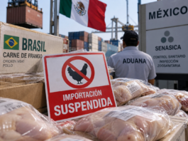 México suspende importación de pollo desde Brasil