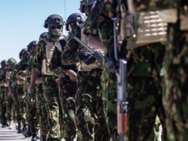 Exjefe militar haitiano advierte de poca posibilidad de éxito de contingente salvadoreño Exjefe militar haitiano advierte de poca posibilidad de éxito de contingente salvadoreño