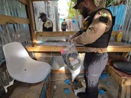 Decomisan más de 70 kilos de narcóticos y detienen a 180 personas en operativos nacionales