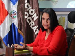 Minou Tavárez: declaraciones de Abinader evidencian fracaso en seguridad Minou Tavárez Mirabal afirma que declaraciones de Abinader evidencian el fracaso de la política de seguridad del Gobierno