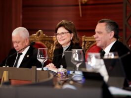 Raquel Peña encabeza última jornada de vistas públicas del Consejo Nacional de la Magistratura
