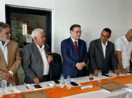Anadegas