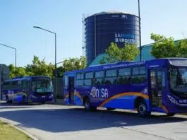 Contrataciones Públicas investiga y suspende licitación de OMSA para compra de autobuses por presuntas irregularidades Contrataciones Públicas investiga y suspende licitación de OMSA para compra de autobuses por presuntas irregularidades